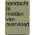 Aandacht te midden van overvloed