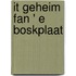 It geheim fan ' e Boskplaat