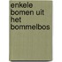 Enkele bomen uit het Bommelbos