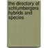 The directory of schlumbergera hybrids and species