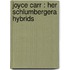 Joyce Carr : her schlumbergera hybrids