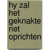 Hy zal het geknakte riet oprichten by Boerrigter