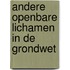 Andere openbare lichamen in de Grondwet