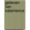 Gelieven van salamanca door Vlamynck