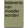 Belevenis van moeder worden door Kitzinger