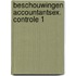 Beschouwingen accountantsex. controle 1