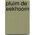 Pluim de eekhoorn