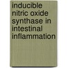 Inducible Nitric Oxide Synthase in Intestinal Inflammation by G. Dijkstra
