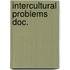 Intercultural problems doc.