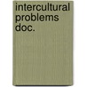 Intercultural problems doc. by Alwine de Jong