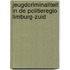 Jeugdcriminaliteit in de politieregio Limburg-Zuid