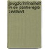 Jeugdcriminaliteit in de politieregio Zeeland