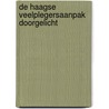 De Haagse veelplegersaanpak doorgelicht door N.A.M. Arts