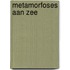 Metamorfoses aan zee