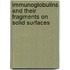 Immunoglobulins and their fragments on solid surfaces