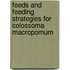 Feeds and feeding strategies for colossoma macropomum