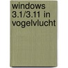 Windows 3.1/3.11 in vogelvlucht by P. Duyvesteyn