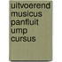 Uitvoerend musicus panfluit ump cursus