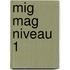 MIG MAG niveau 1