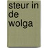Steur in de Wolga