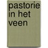 Pastorie in het veen
