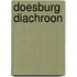 Doesburg Diachroon