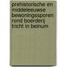 Prehistorische en middeleeuwse bewoningssporen rond boerderij Tricht in Beinum by H.A.C. Fermin