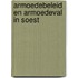 Armoedebeleid en armoedeval in Soest