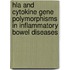 HLA and cytokine gene polymorphisms in inflammatory bowel diseases