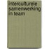 Interculturele samenwerking in team