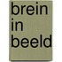 Brein in Beeld