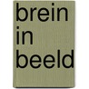 Brein in Beeld door D. BÃ¤r