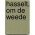 Hasselt, Om de Weede