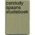 Carstudy spaans studieboek