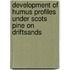 Development of humus profiles under Scots pine on driftsands