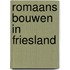Romaans bouwen in friesland