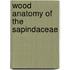 Wood anatomy of the sapindaceae