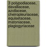 3 polypodiaceae, davalliaceae, azollaceae, cheiropleuriaceae, equisetaceae, matoniaceae, plagiogyriaceae door Onbekend