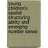 Young children's spatial structuring ability and emerging number sense