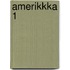 Amerikkka 1