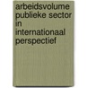 Arbeidsvolume publieke sector in internationaal perspectief by I.E. van Gils