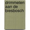 Drimmelen aan de Biesbosch door K. Brouwers