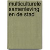 Multiculturele samenleving en de stad door I. Drontmann