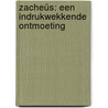 Zacheüs: een indrukwekkende ontmoeting by B. de Raadt