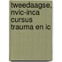 Tweedaagse, NVIC-INCA Cursus trauma en IC