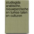 Studiegids Arabische, Nieuwperzische en Turkse talen en culturen