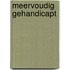 Meervoudig gehandicapt
