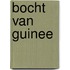 Bocht van guinee