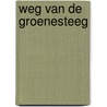 Weg van de Groenesteeg by Unknown