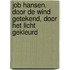 Job Hansen. Door de wind getekend, door het licht gekleurd